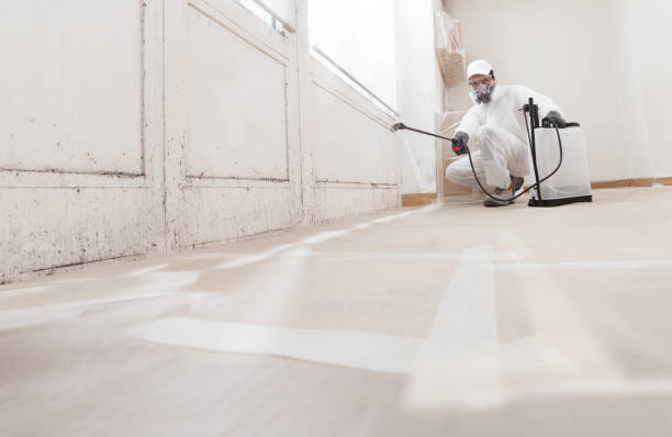 24/7 Emergency Attic Mold Remediation experts in Arrington, TN